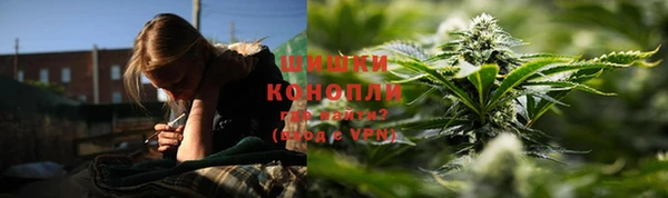 ALPHA PVP Бородино