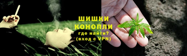 ГАЛЛЮЦИНОГЕННЫЕ ГРИБЫ Верея