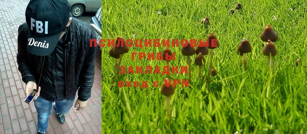 ALPHA PVP Бородино